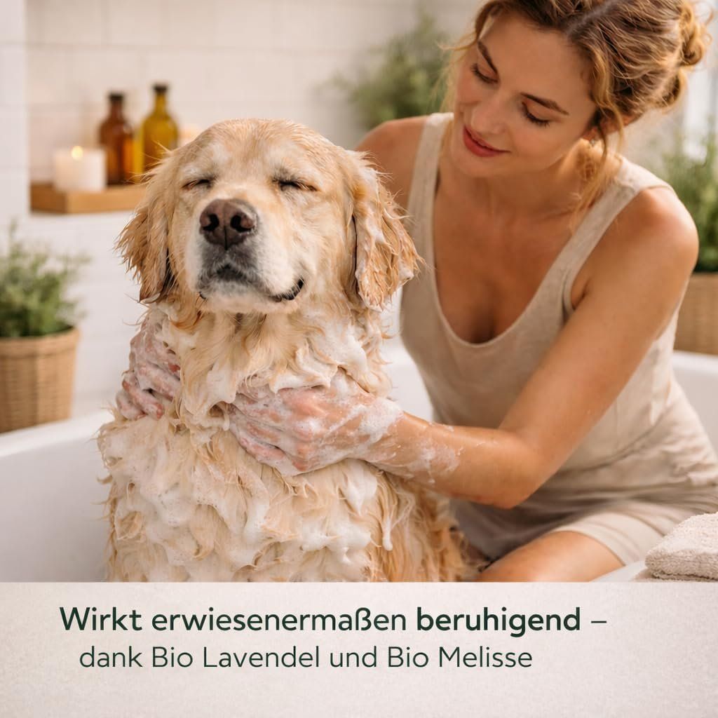 Prodotti per la cura & articoli per la pulizia: Hundeshampoo Bio Lavendel Melisse 200ml – Nuovo e nell'imballaggio originale da Suhr venduto da SchnapperCH 1