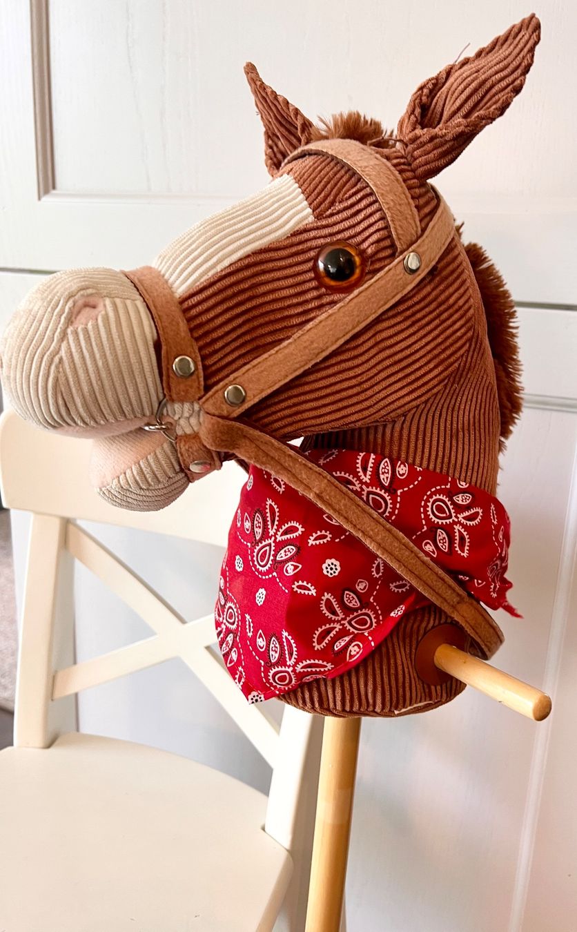 Giocattoli: Steckenpferd - Hobbyhorse – Usato da Ebertswil venduto da Arula7 1