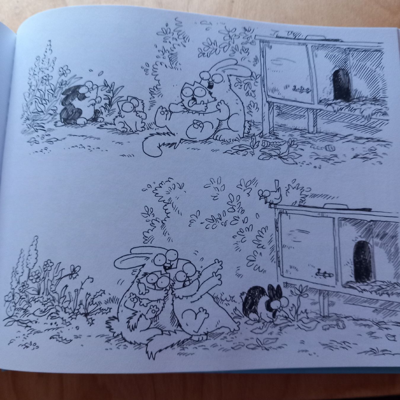 Fumetti: Simon's Cat – Usato da Ebnat-Kappel venduto da blazzi 3