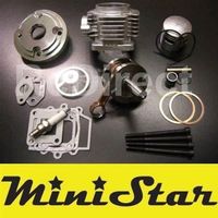 TUNING VIII ZYLINDER RENNSATZ Minibike