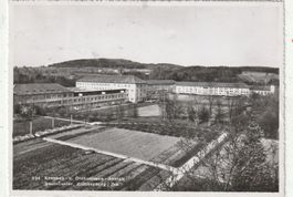 Zollikerberg Zürich um 1951