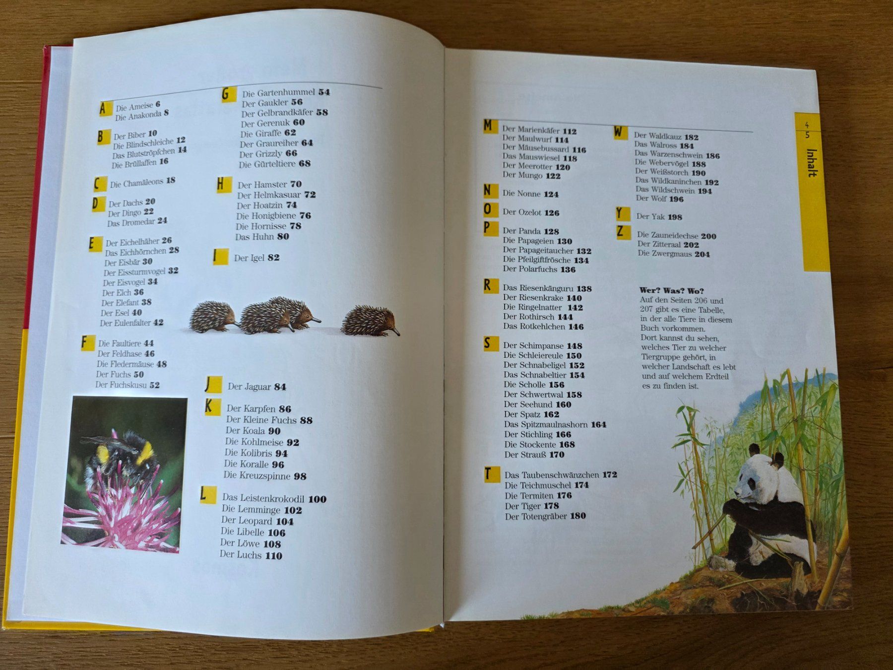 Libri: Buch "Mein Grosser Kosmos Tieratlas" – Usato da Richterswil venduto da adora88 3