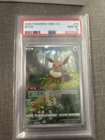 Eevee PSA 10 CN exclusive 