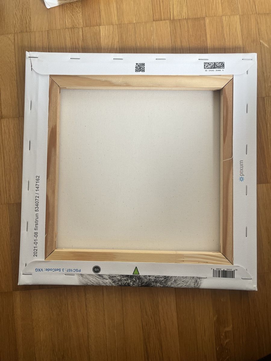 Foto & Immagini: Leinwand-Bilder Tiere, 30 x 30 cm – Usato da Dättwil AG venduto da Janine_12345 5