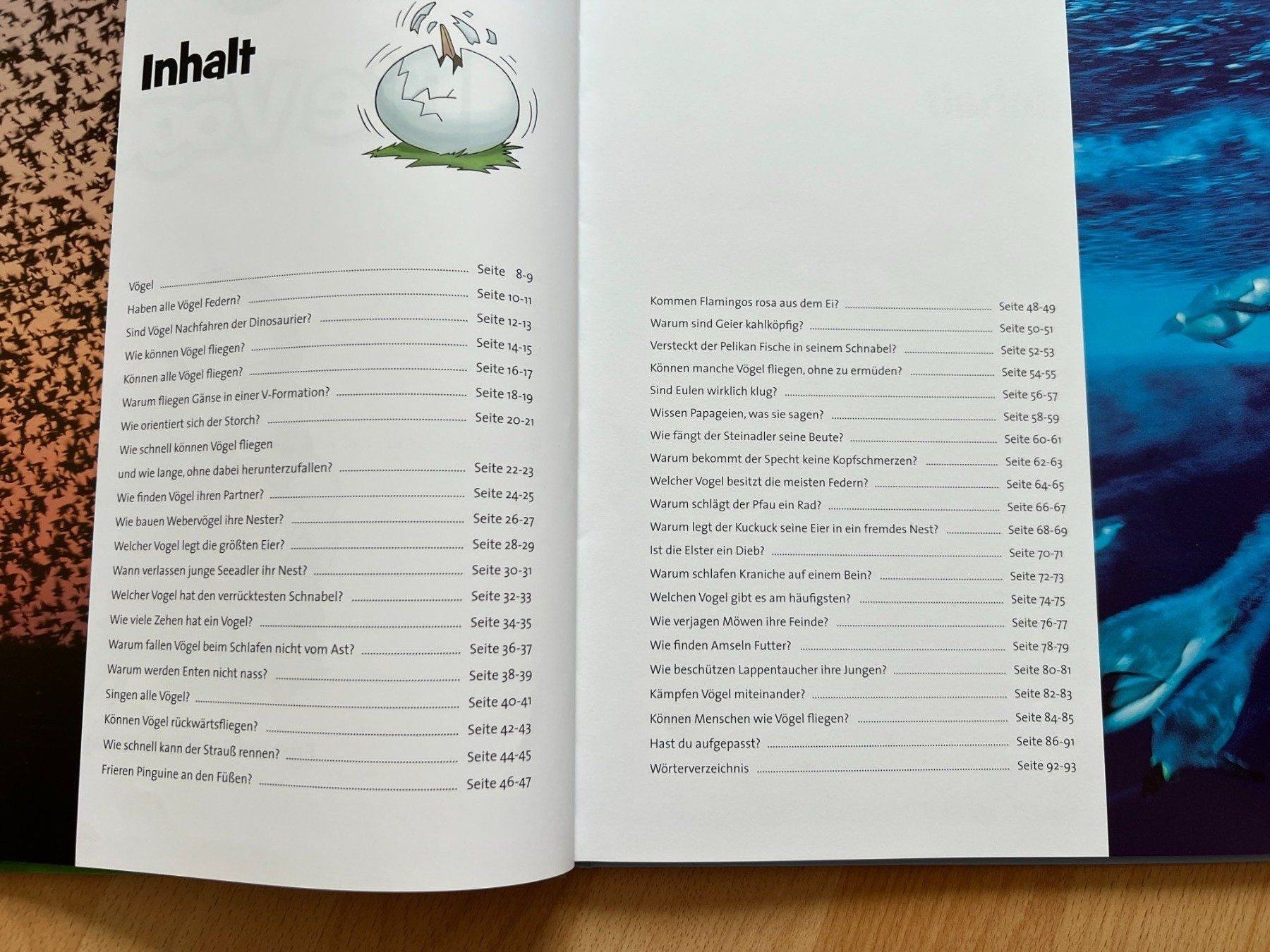 Libri: Die Vögel - Fragen&Antworten - Disney – Usato da Balzers venduto da Alannah 1