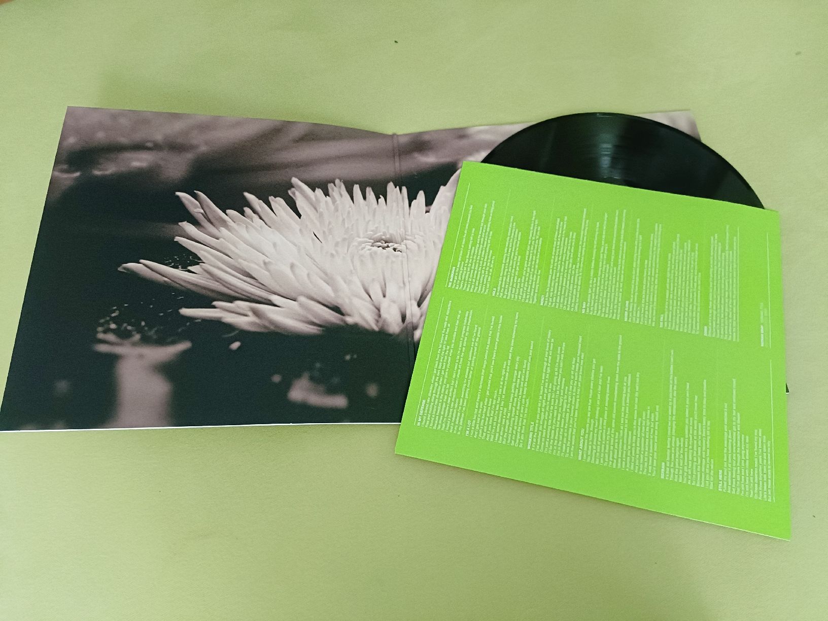 Dischi in vinile: NATHAN GREY - Working Titel LP BoySetsFire – Usato da Luzern venduto da cryptonic79 2