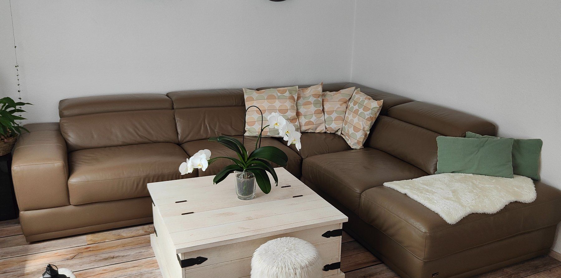 Sofas: Moderne Ecksofa aus Echtleder – Gebraucht aus Fulenbach von zor_5mjv