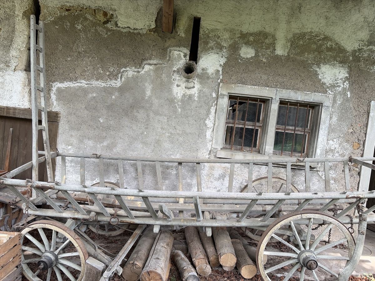 Rimorchi: Holzwagen – Usato da Arisdorf venduto da Lerpi 4