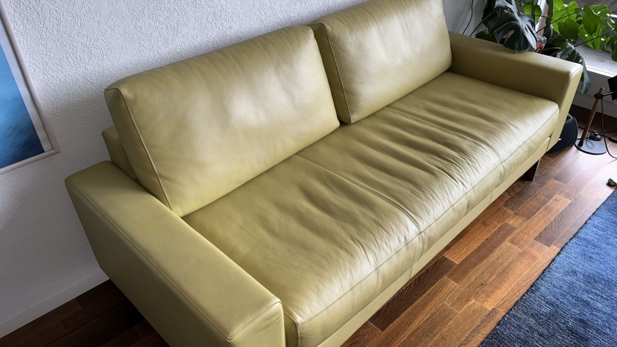 Divani: Sofa Rolf Benz – Usato da Boll venduto da pfar 6