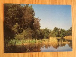 Pfyn - Waldweiher - Naturreservat - AK