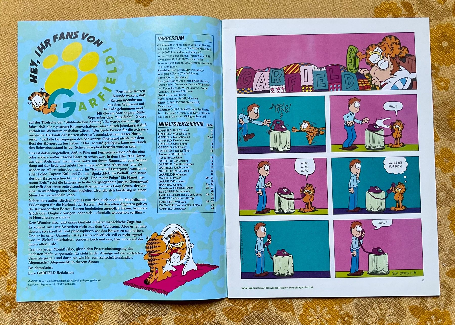 Fumetti: Garfield Heft Nr 11 von 1992 – Usato da Endingen venduto da nathan05 1