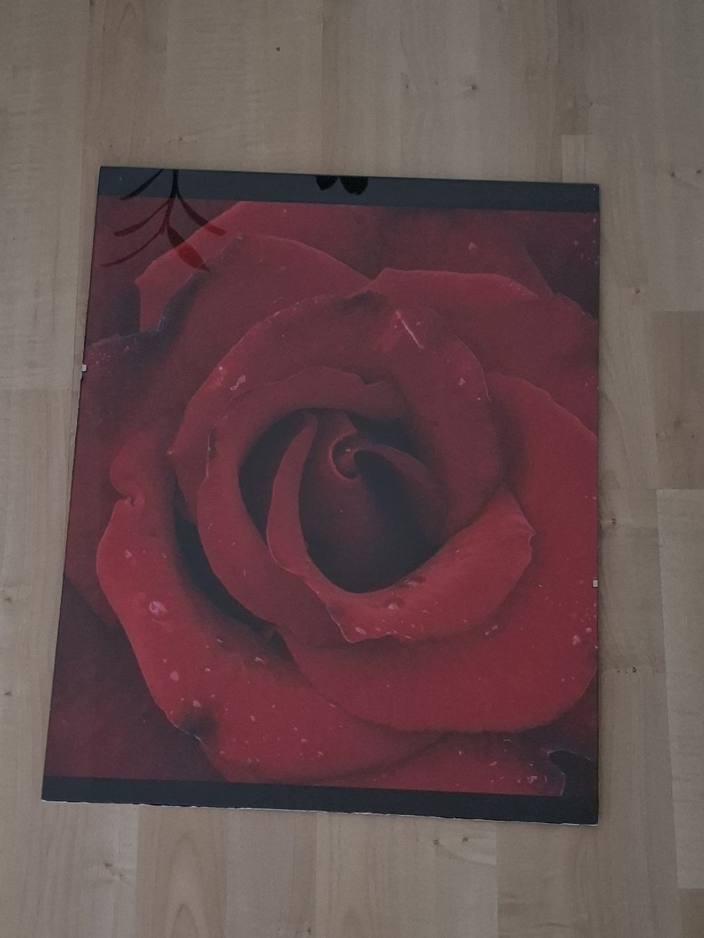 Foto & Immagini: Bild Rose mit Wassertropfen,  Versand auch möglich  – Usato da Neuenhof venduto da summer_25 2