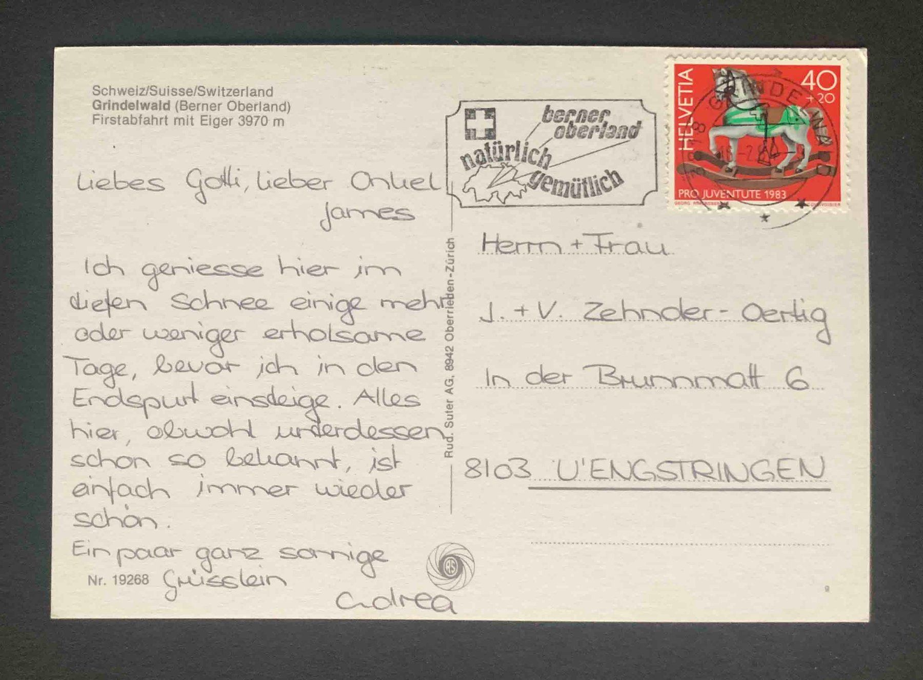Cartoline postali: AK Grindelwald Berner Oberland Firstabfahrt – Usato da Goldau venduto da artelier1 1