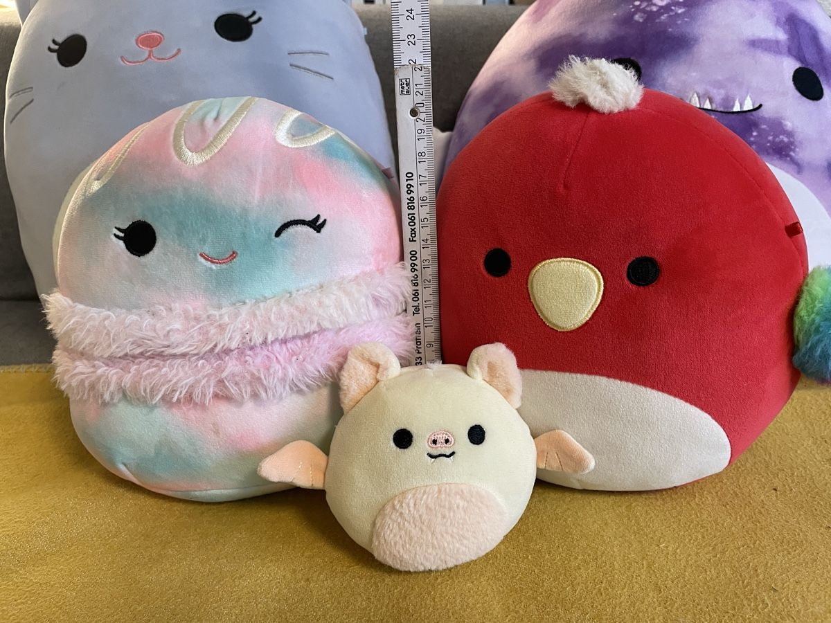 Squishmallows Spielzeuge: 5 Squishmallows Plüschtiere Set   – Gebraucht aus Niederbüren von Poschti_19 3