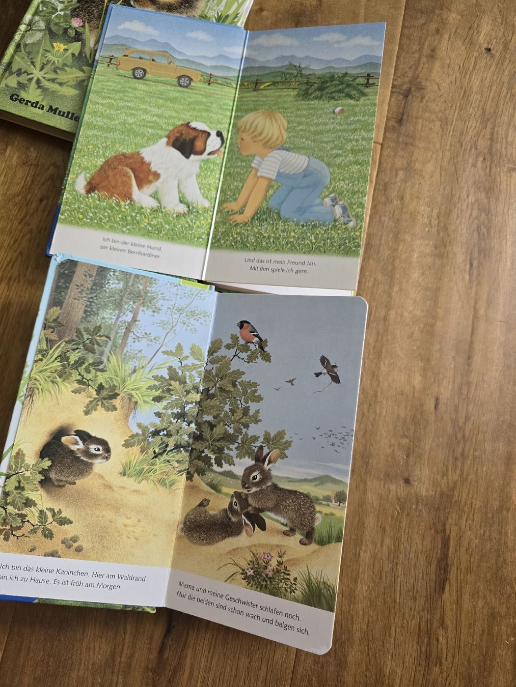 Bücher: 5er Set Kinderbücher "Ich bin..." Ravensburger set – Gebraucht aus Wittenbach von Tigerlili 7