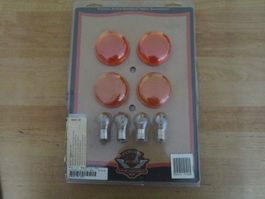 Harley Davidson Blinkerstreuscheiben