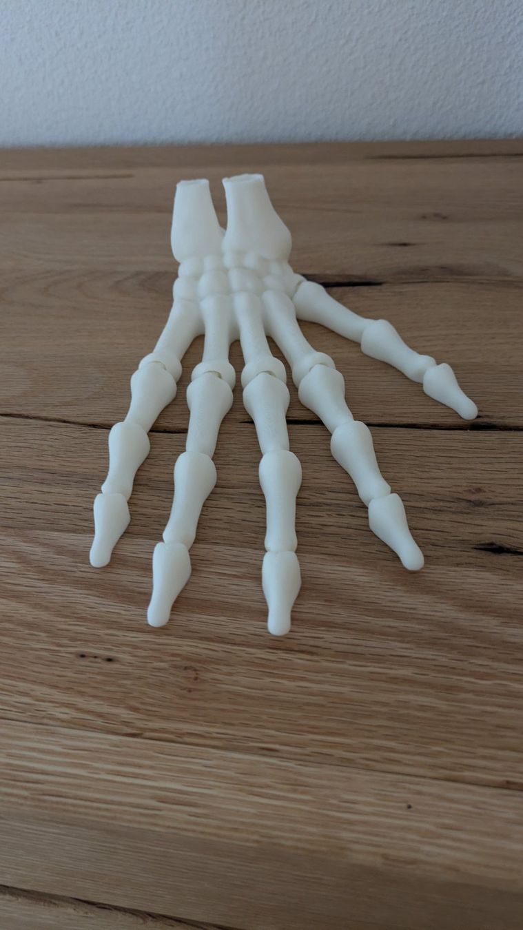 Alle Dekorationen: Halloween - Bewegliche Skelett Hand - Hingucker – Neu (gemäss Beschreibung) aus Staufen von Fleby84 1