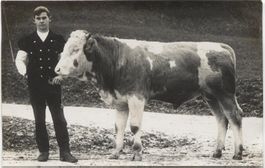 LANDWIRSCHAFT/BAUER mit KUH 1920 FR/BE?