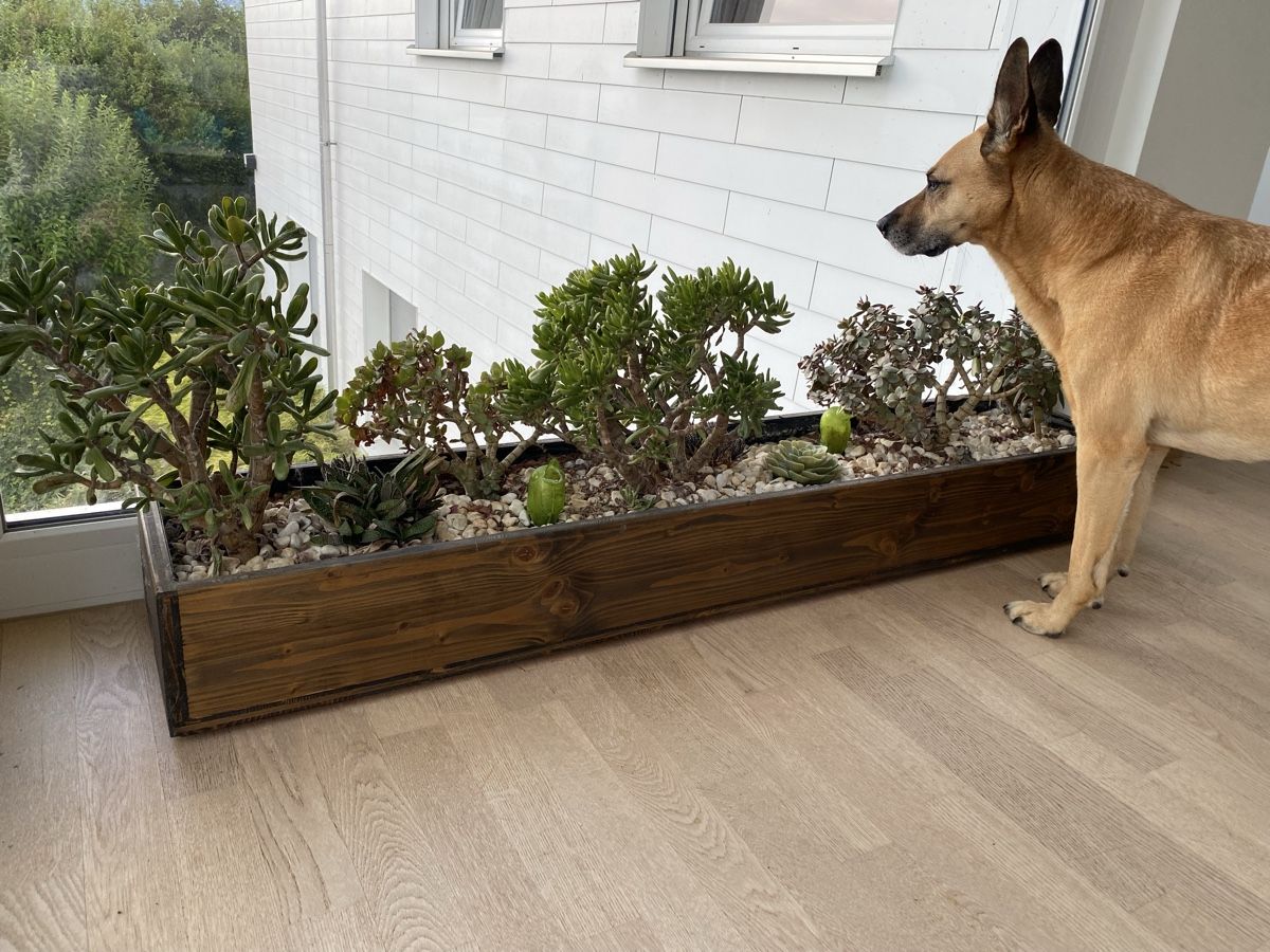 Pots de fleurs: Pflanztrog aus Holz – D'occasion à Richterswil par LufliDay 2