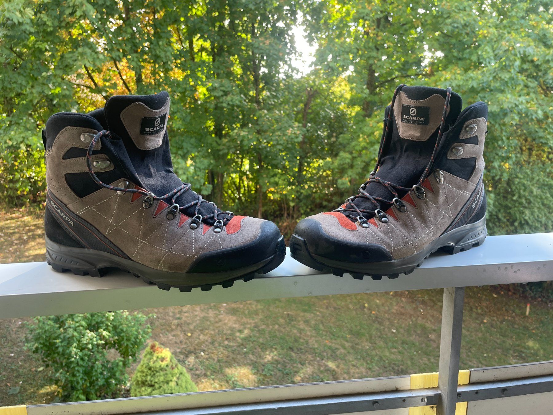 Scarpa Chaussures hommes: Scarpa R-Evolution GTX - Grösse 47 – D'occasion à Zürich par liam.erlach