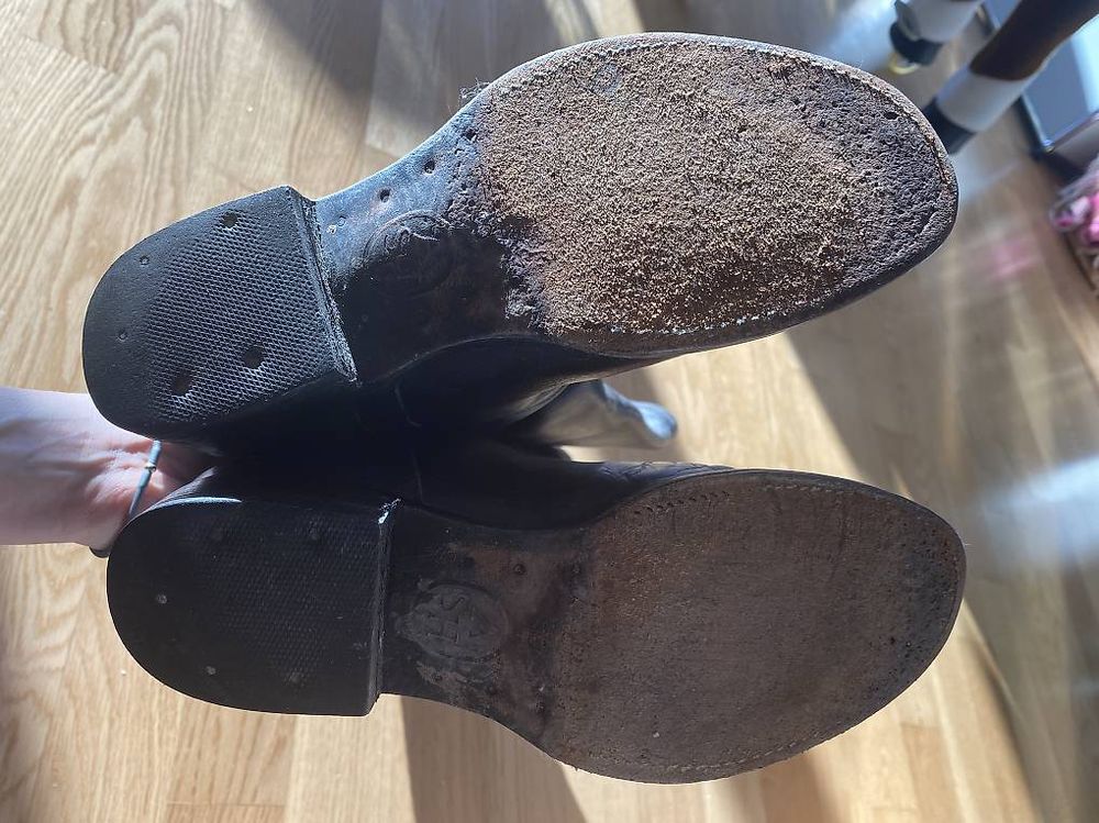 Ash Stiefel Schwarz Boots (Gebraucht) in Zürich für CHF 169