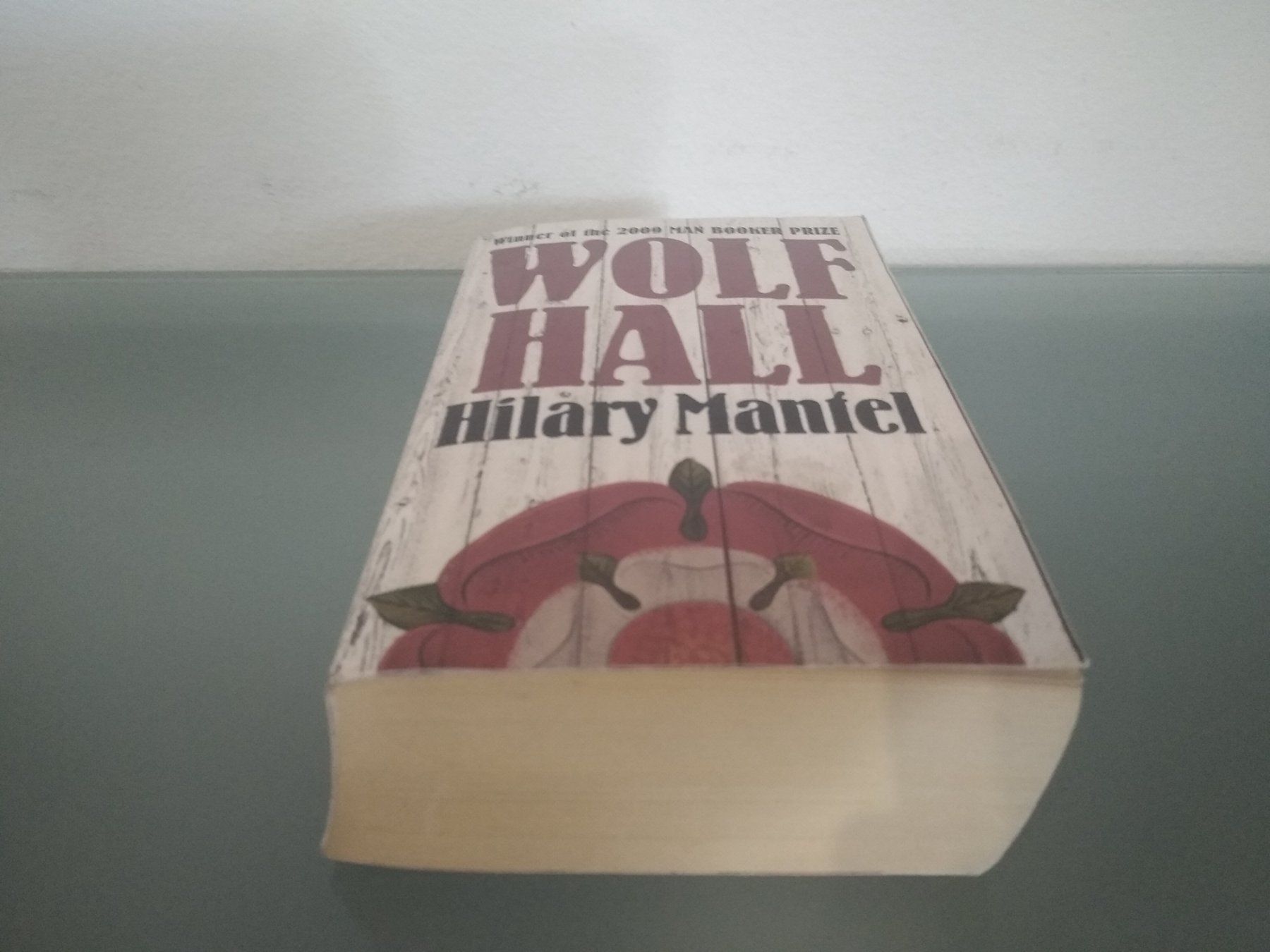 Libri: Wolf Hall Hilary Mantel – Nuovo (secondo la descrizione) da Bäch SZ venduto da Swissy46 5