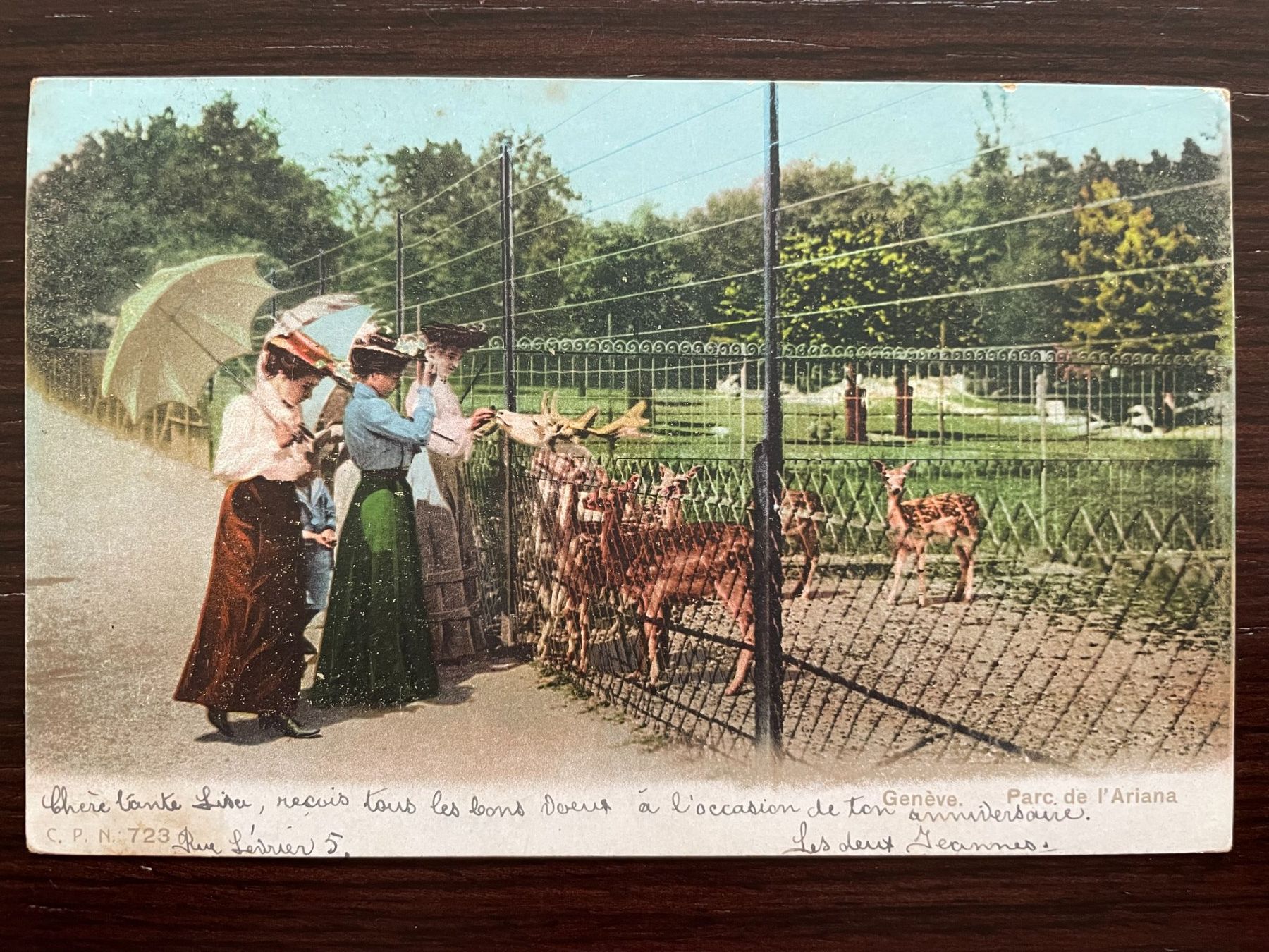 Ansichtskarten: GENÈVE Parc de l'Ariana, animée, 1906 – Gebraucht aus Wald ZH von TLILEF