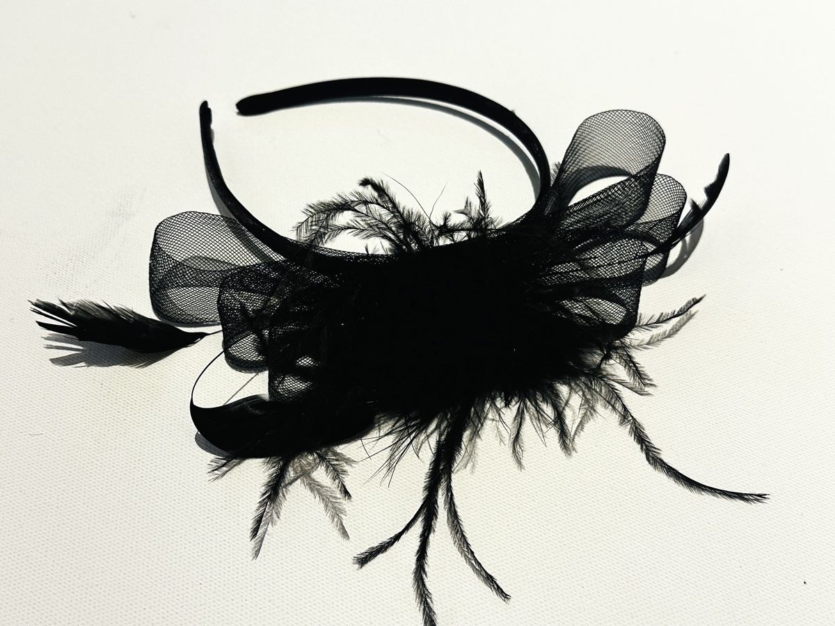 Haarschmuck: Fascinator - Haarreif – Neu und originalverpackt aus Rorschach von car_wbc5 1