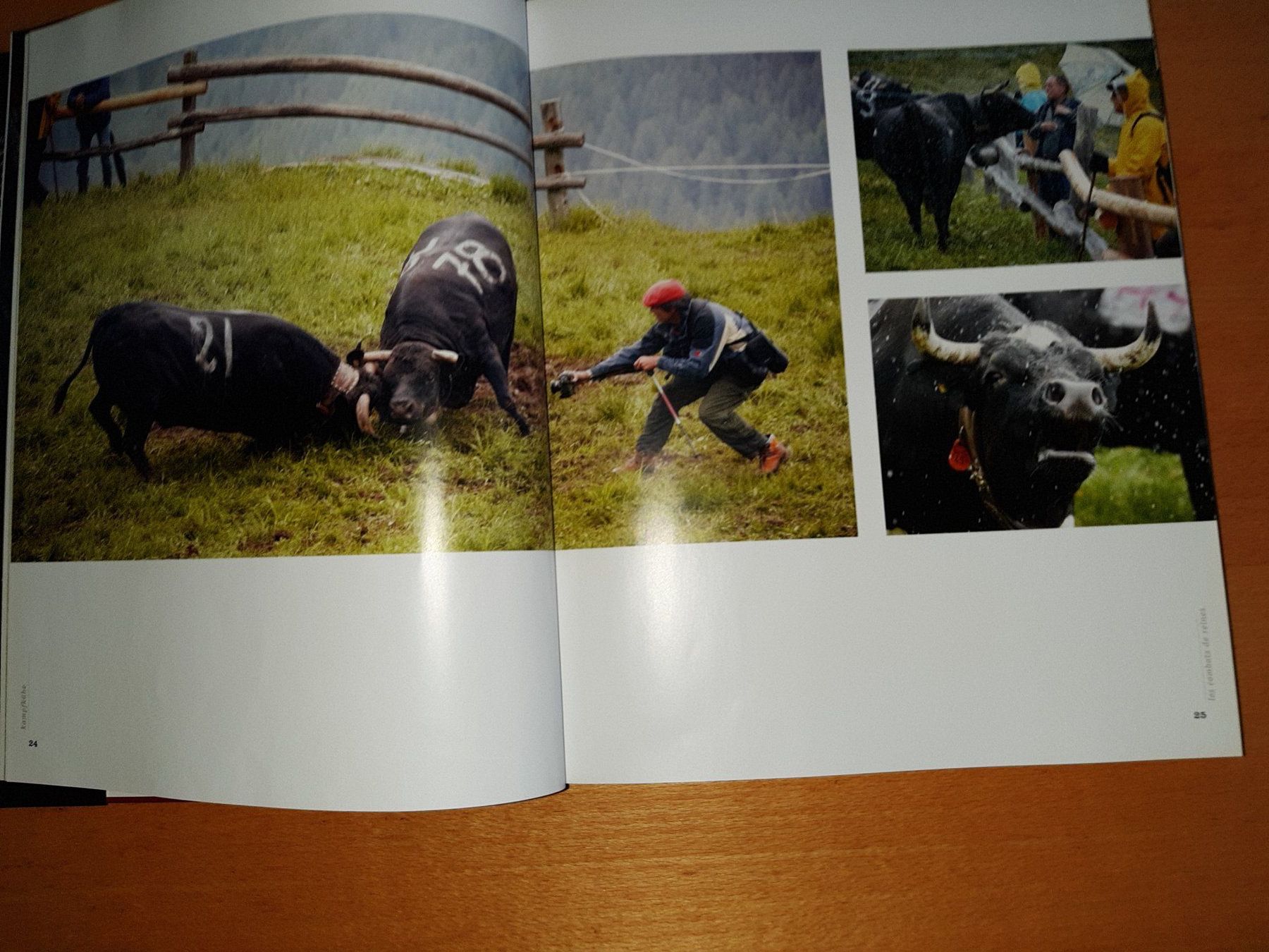 Libri: Schweizer Kühe Bildband "KUHLEBEN" – Usato da Rotkreuz venduto da nigal 8