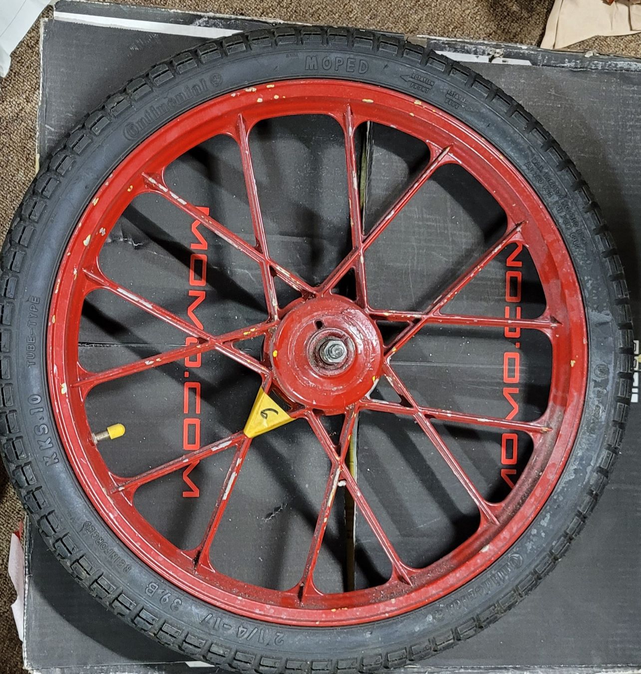 Puch Cerchioni: Töffli Felge – Usato da Schwyz venduto da KTM2t