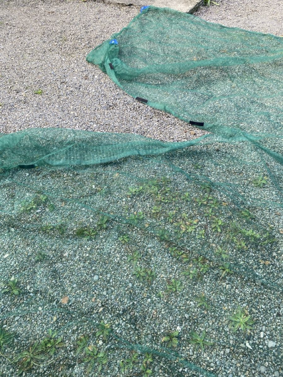 Gitter & Roste: 2 x Obstfallnetz, Erntenetz, Fallobstnetz  – Gebraucht aus Waltenschwil von Angela99 1