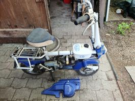 Kleinmotorrad Moped Motograziella Sachs Motor Scheunenfund