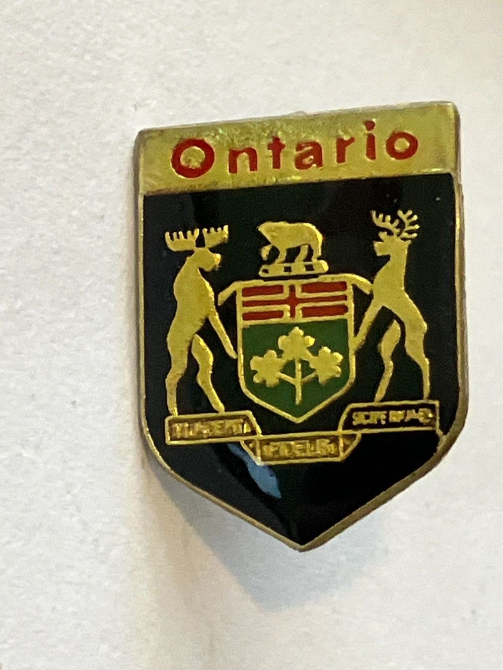 Placchette & Badge: 1 Pin Ontario – Usato da Basel venduto da djwwpp