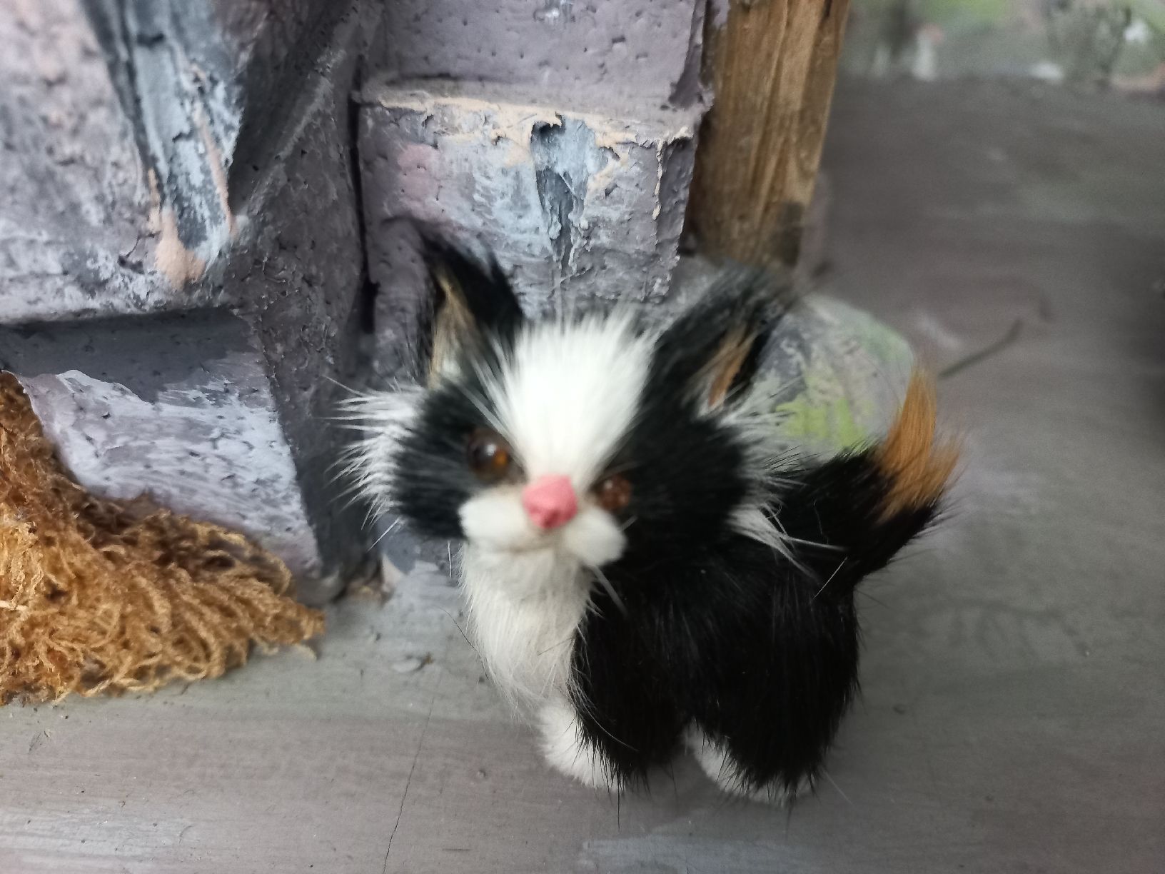 Statuette: Schwarzenberger Krippenfigur Marktfrau mit Katze – Nuovo (secondo la descrizione) da Lachen SZ venduto da jimmygoal13 5