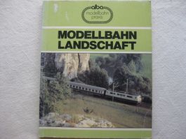 Modellbahn Landschaft
