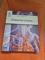 Anatomia umana