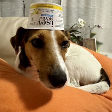 Profile image of Strutzy
