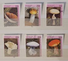 REPUBLIQUE DE GUINEE – PILZE / CHAMPIGNONS