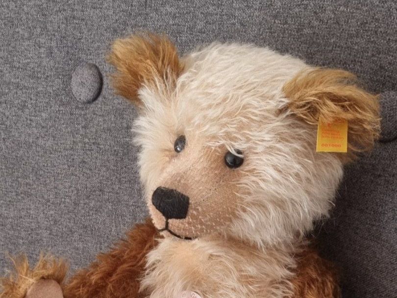 Steiff Giocattoli: Steiff Cappuccino, ca. 33cm, unbespielt – Usato da Lenzburg venduto da friedi5 3
