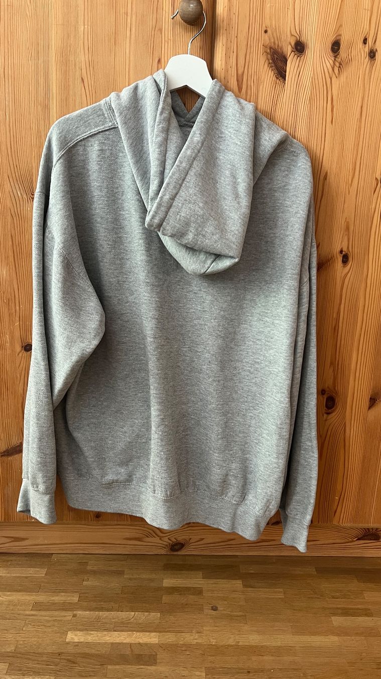 Pullover & Sweatshirts: Brandy Melville Pullover – Gebraucht aus Bern von fra_6nbz 1