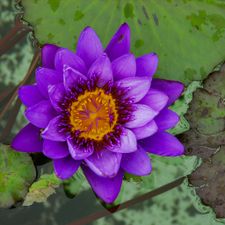 Profile image of TAKEYOURPLANT