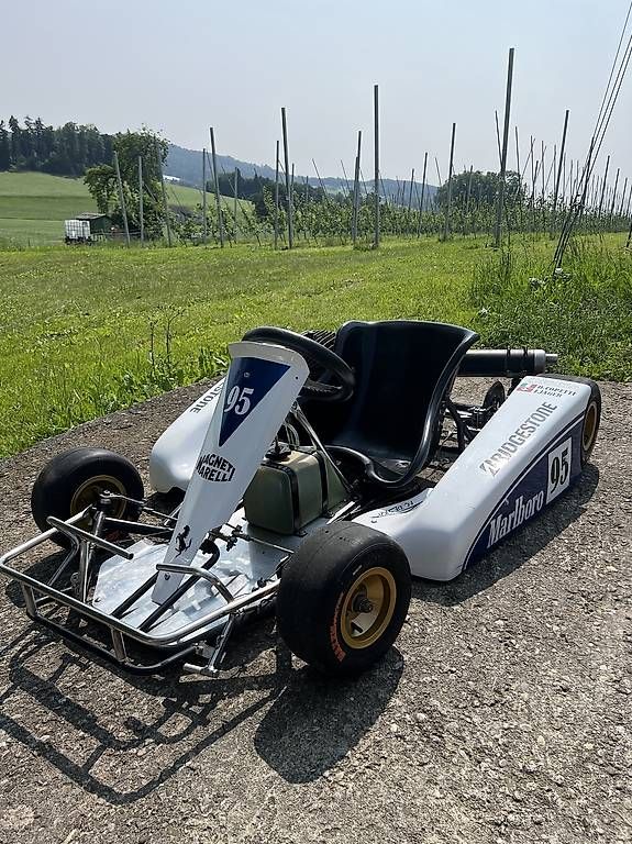 Go-Kart: Gokart 100ccm – Usato da ST.GALLEN venduto da Bimi770