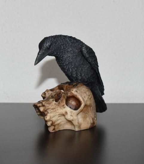 Totenkopf mit Rabe (Neu und originalverpackt) in Menziken für CHF 36 ...