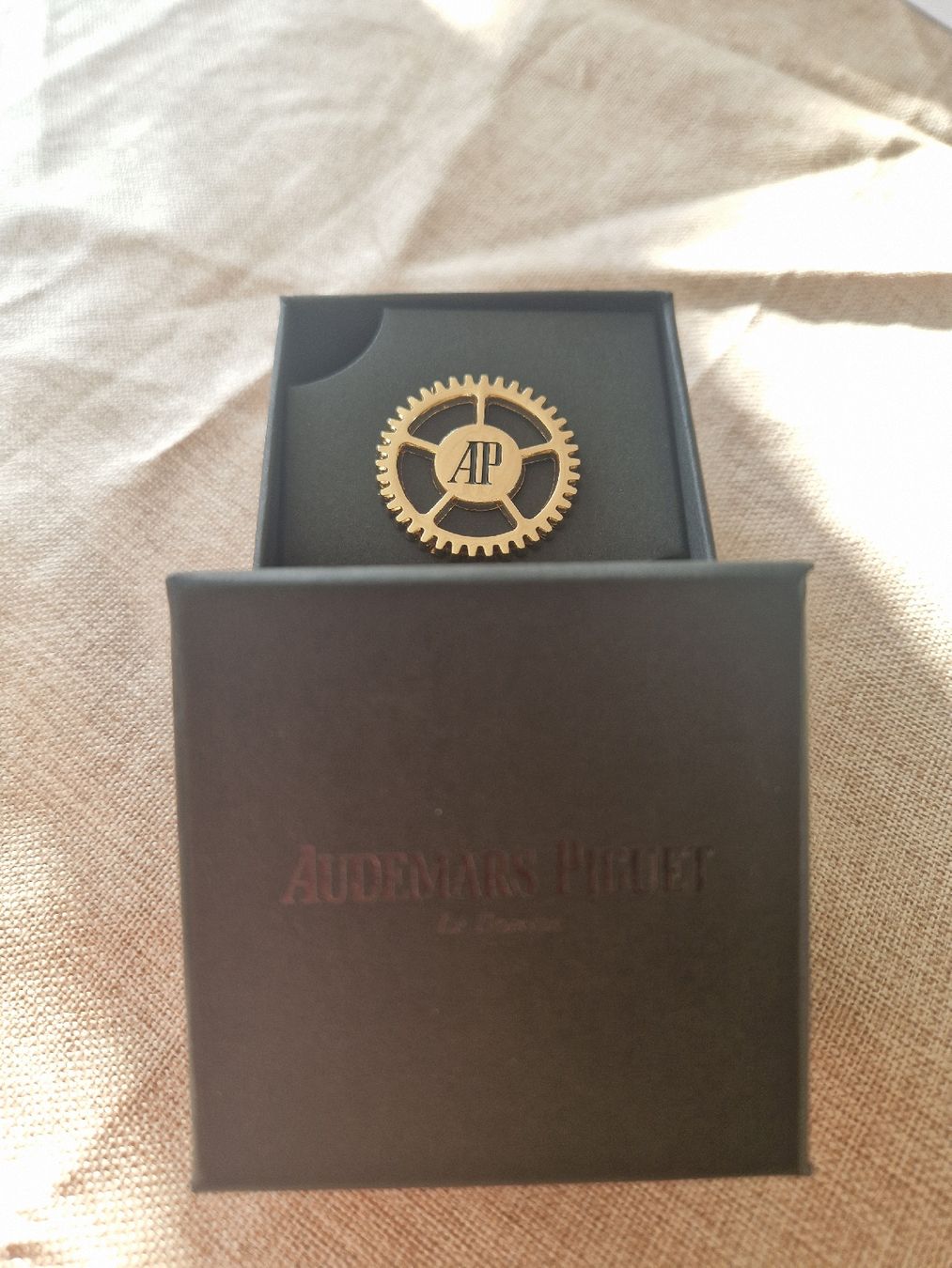 Placchette & Badge: Audemars Piguet Pin – Nuovo e nell'imballaggio originale da Gebenstorf venduto da rad_y8lt 1