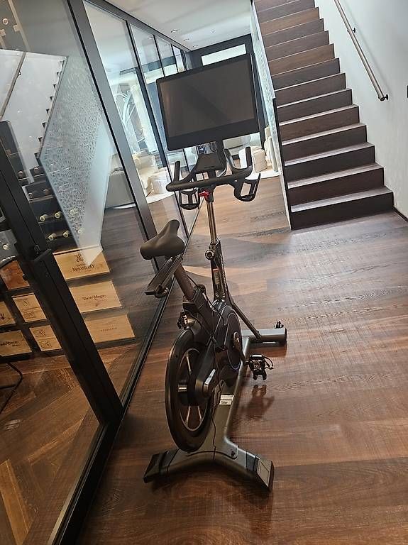 Hometrainer: Horizon Indoor Cycle XP – Usato da Dintikon venduto da pap_r5r8 2