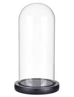 2 Stück Cloche-Gläser-Terrarium mit Basis