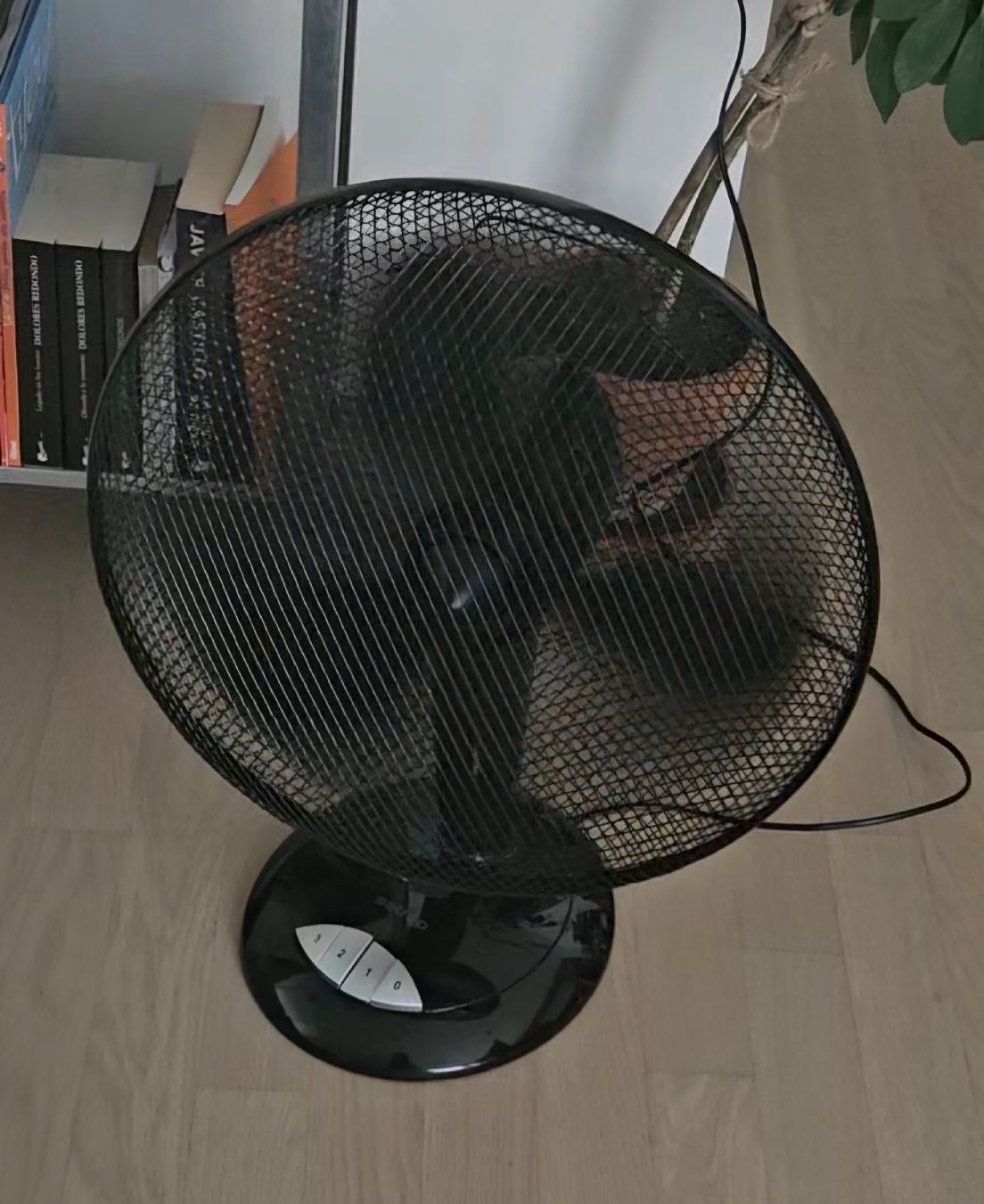 Ventilateurs: Ventilator – Neuf (Voir description) à Lausanne par ram_tw68