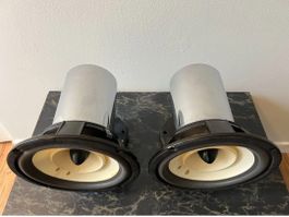 Field Coil Treiber Wooden Cone