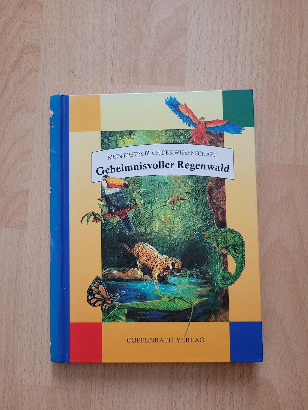 Libri: Geheimnisvoller Regenwald – Usato da Perlen venduto da Safari_23