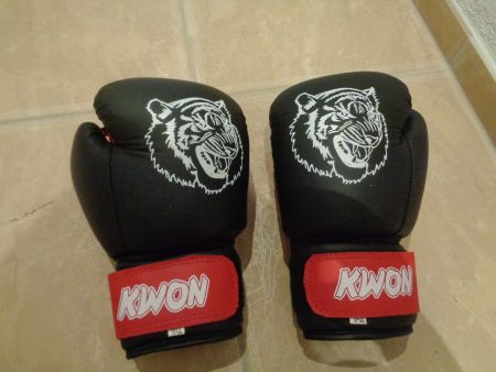 Kwon neue Boxhandschuhe , 10-12J ahre NP 50 Fr